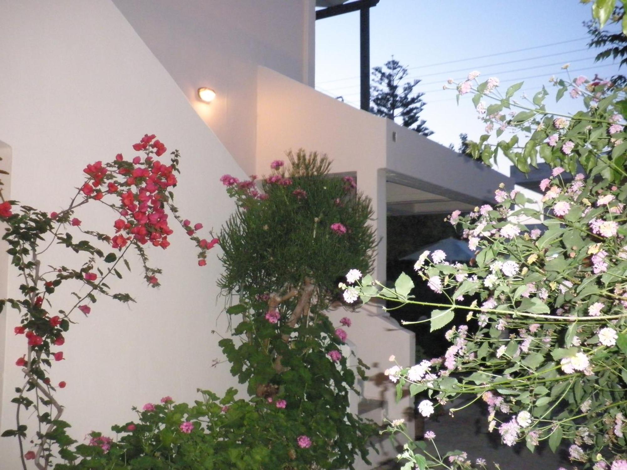 Aigialis Apartments & Studios Kokkini Hani Extérieur photo